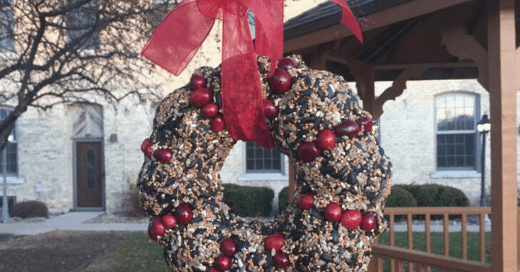 homemade bird feeder wreath