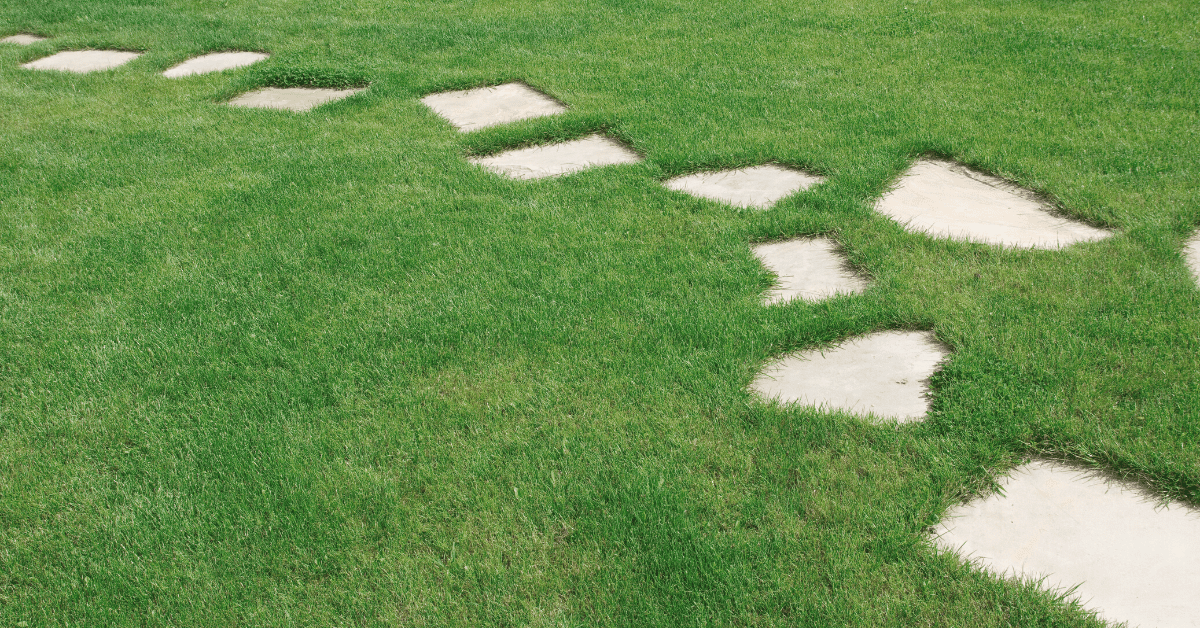 stepping stones in grass