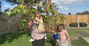 nursery practitioner picking child up to apple tree